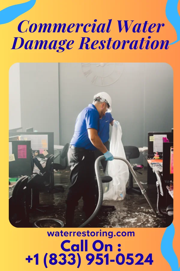 Commercial Water Damage Restoration in Cotulla, TX