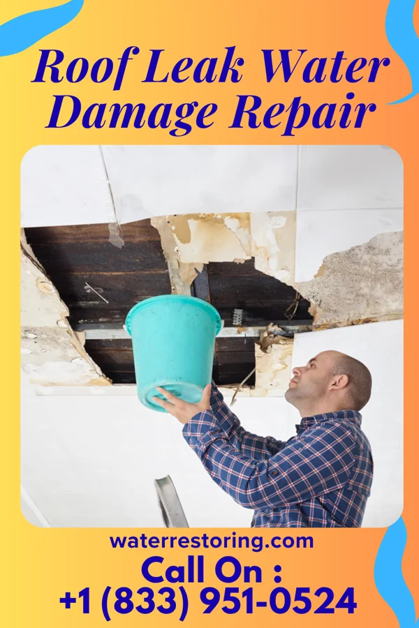 Roof Leak Water Damage Repair in Cotulla, TX